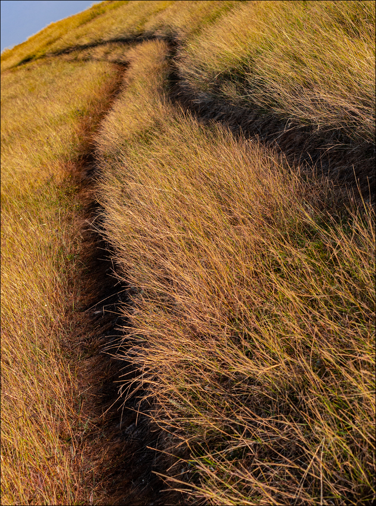 Tipova Zvezdopad 20160813 152