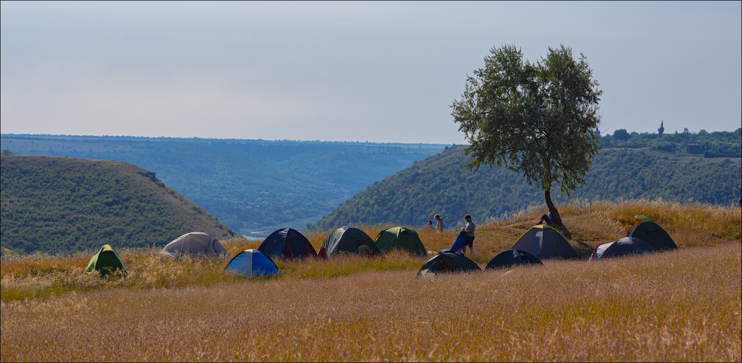 Tipova Zvezdopad 20160813 163