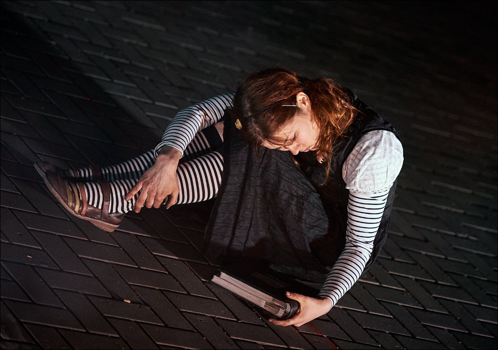 FireShow Alisa 2017 005005