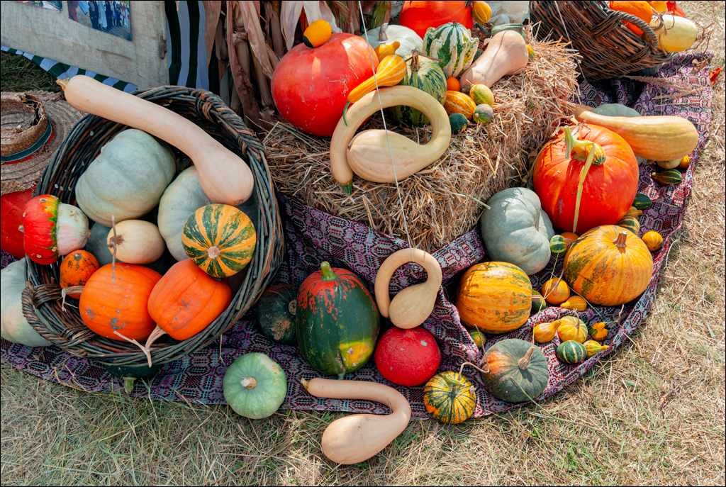 Gustar 201308242006 271