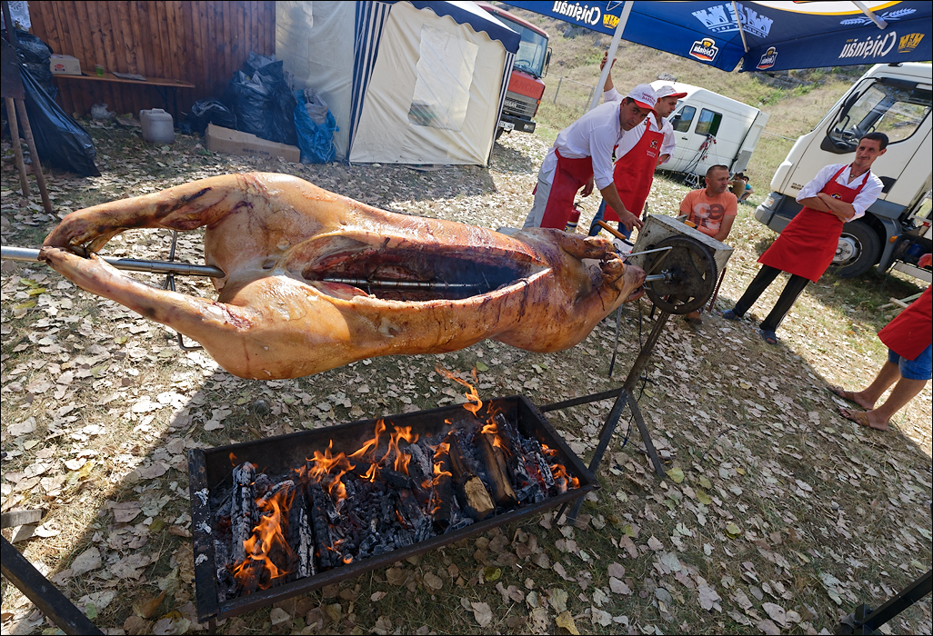 Gustar 201616080110836