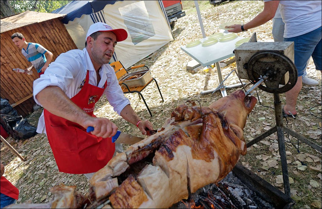 Gustar 201616080502123