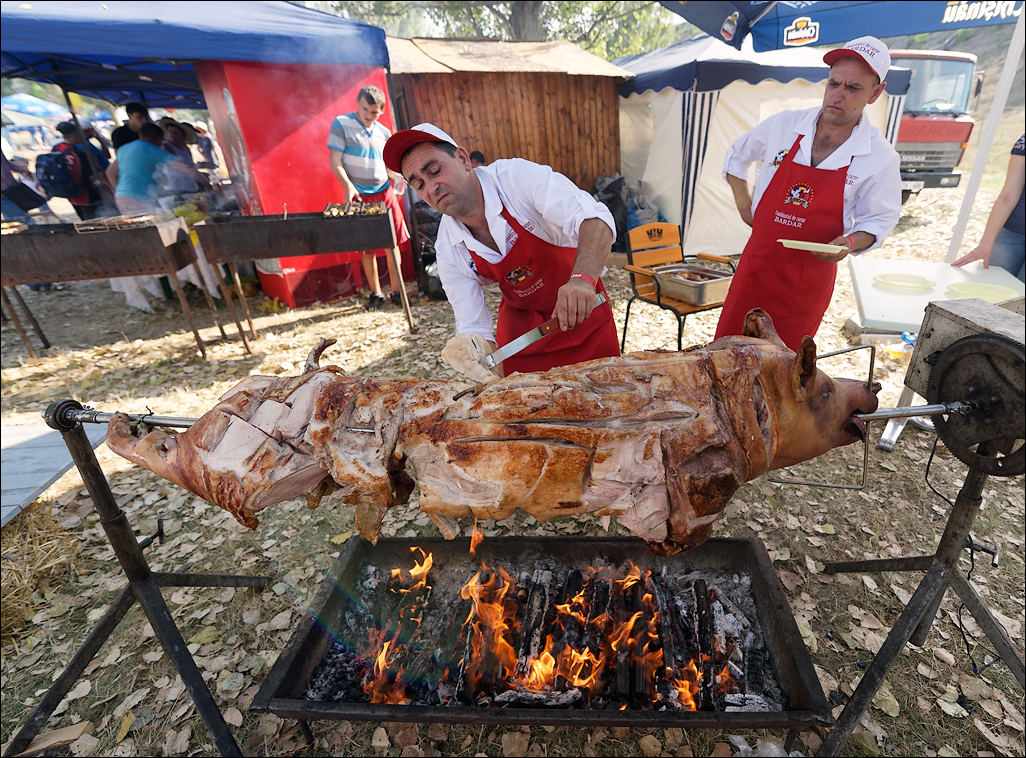 Gustar 201616080512124