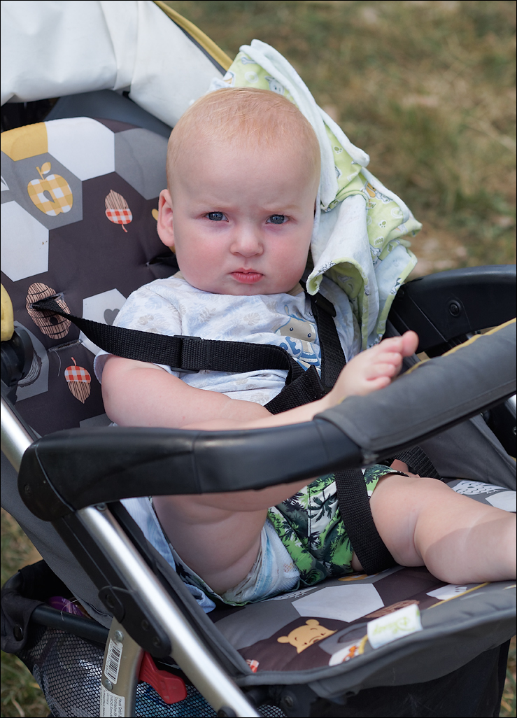 Gustar 201616081072245