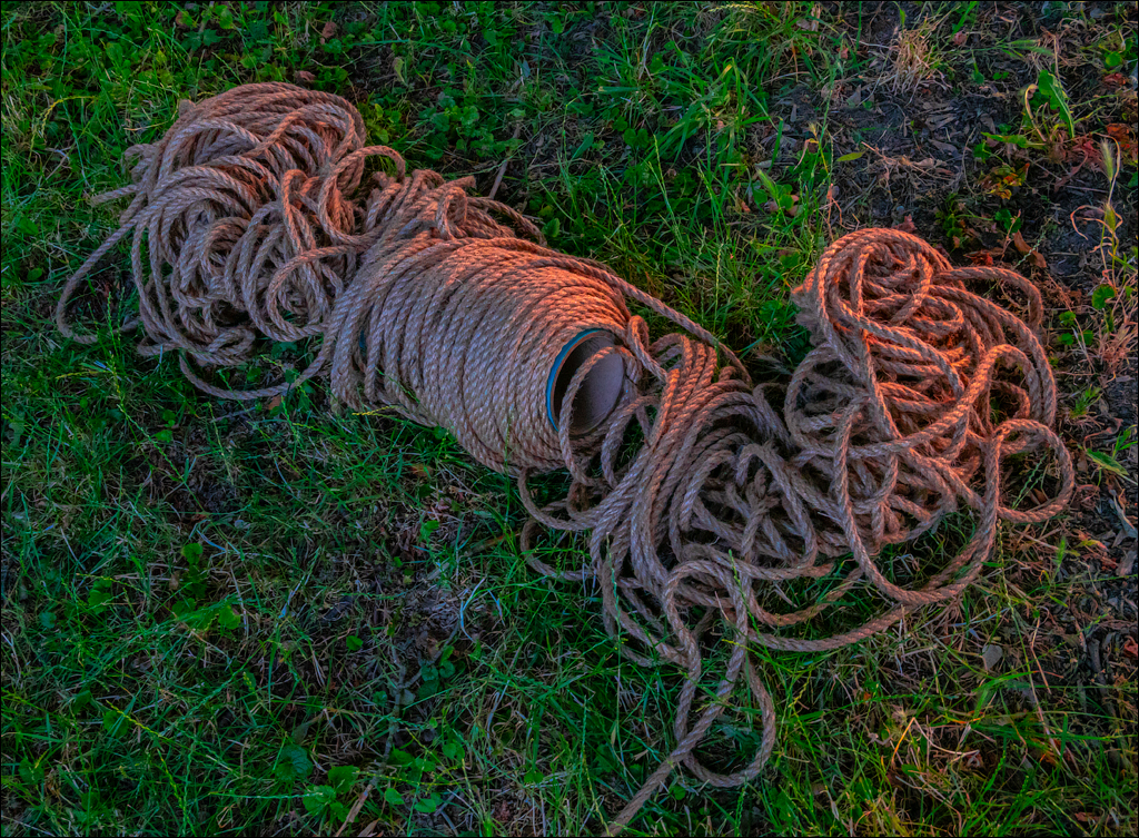 Saratei EcoFest 1 2jul2022 118