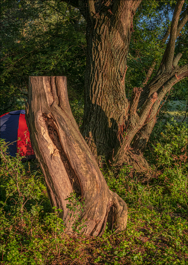 Saratei EcoFest 1 2jul2022 130