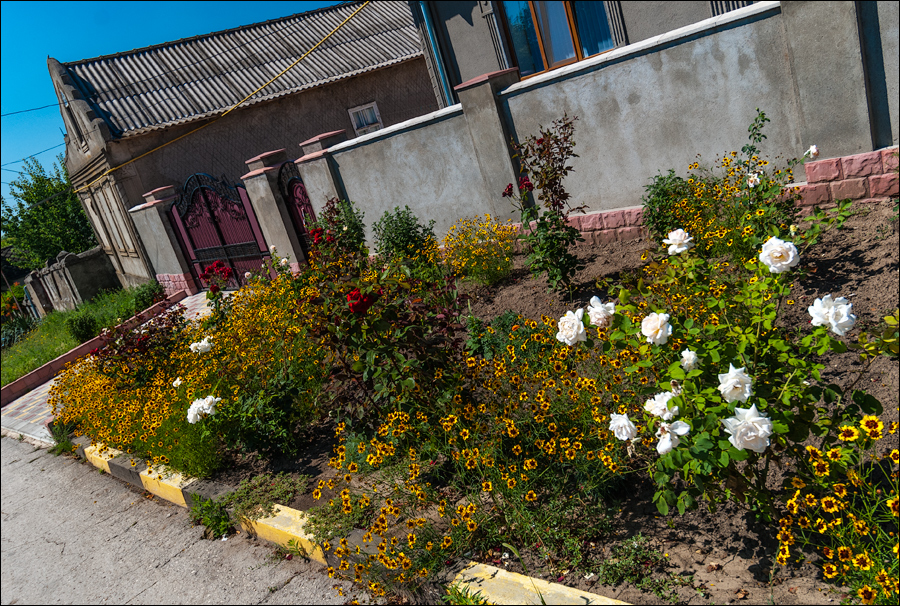 Tvardita 20150721106