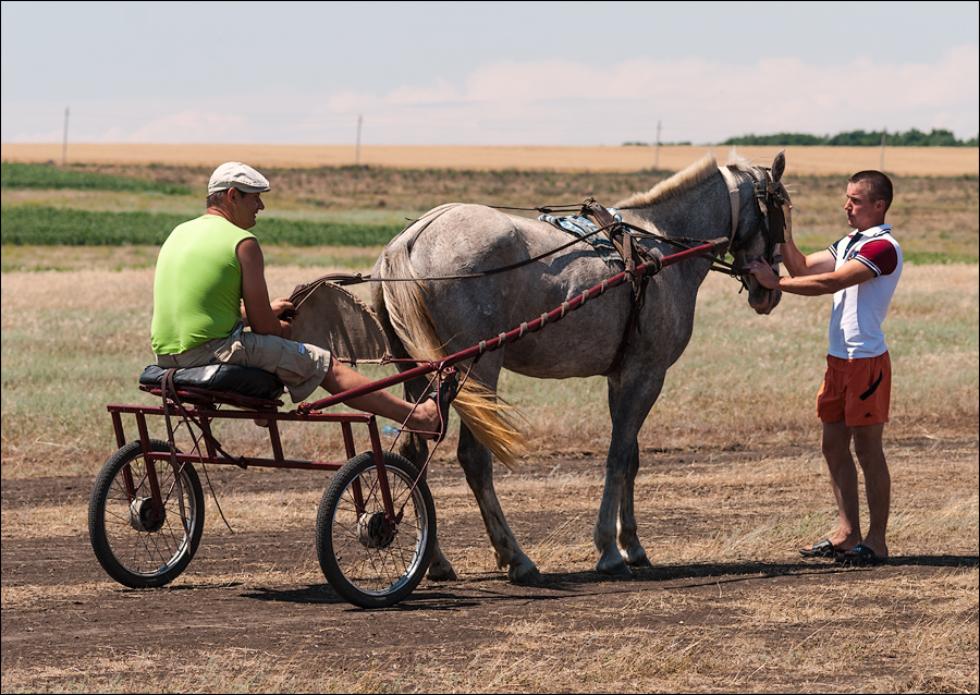 Tvardita 20150721149