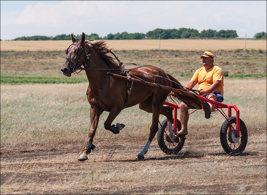 Tvardita 20150721157