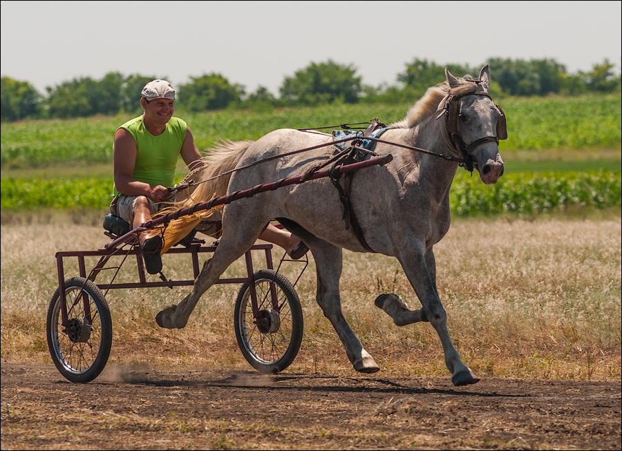 Tvardita 20150721158