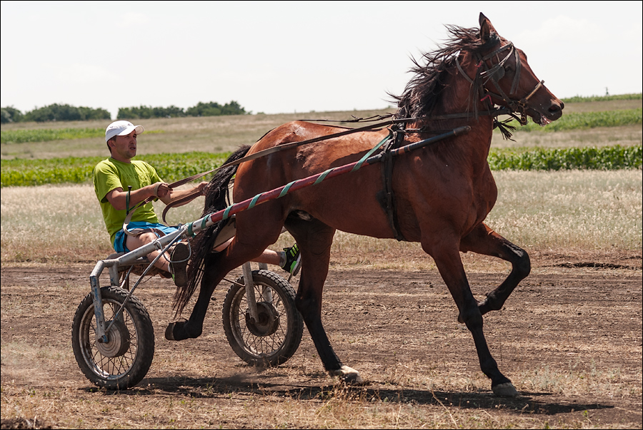 Tvardita 20150721160