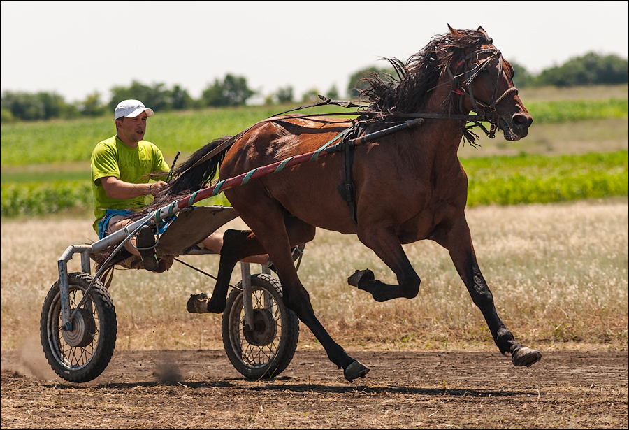 Tvardita 20150721164