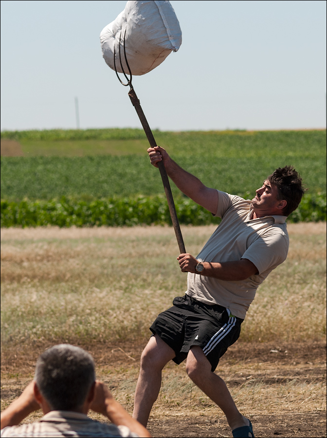 Tvardita 20150721175