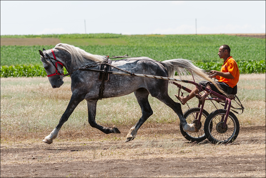 Tvardita 20150721193