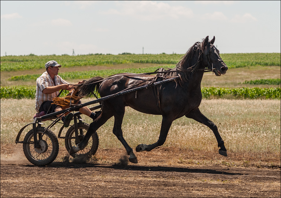 Tvardita 20150721194