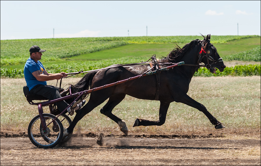 Tvardita 20150721197