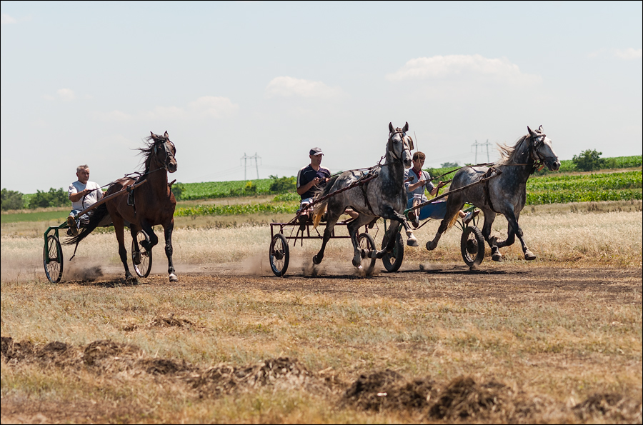Tvardita 20150721206
