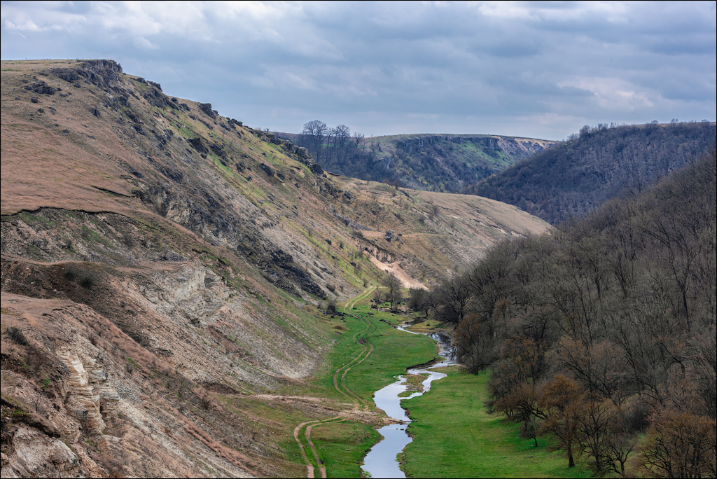 Brinzeni Gordinesti Fetesti 20210418 111