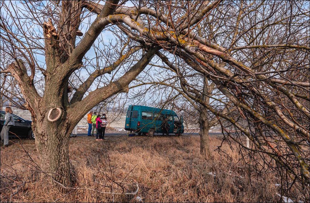 Soldanesti Ciorna 20210221 102