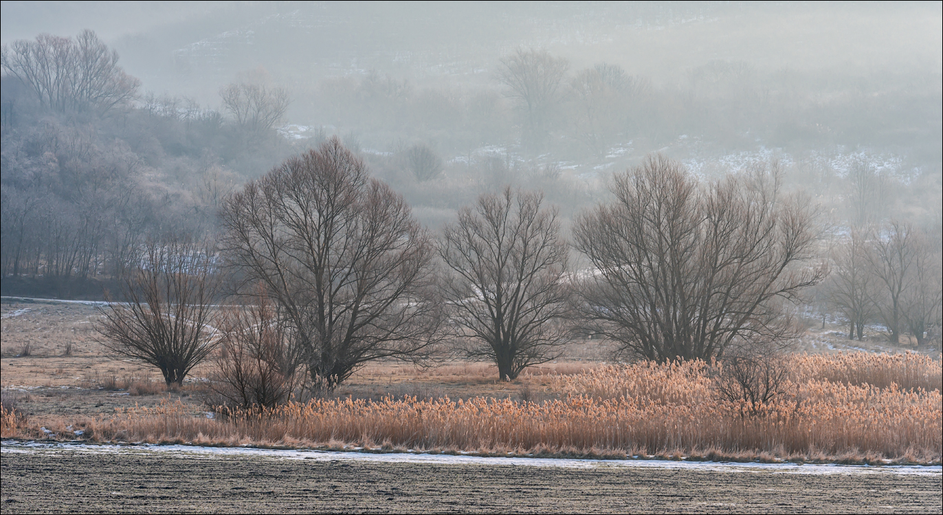 Soldanesti Ciorna 20210221 103