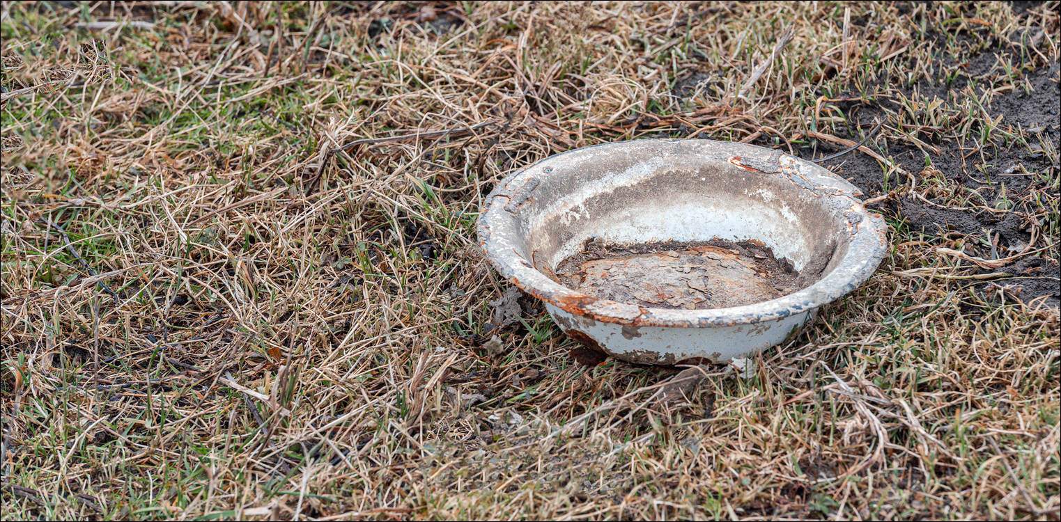 Soldanesti Ciorna 20210221 123