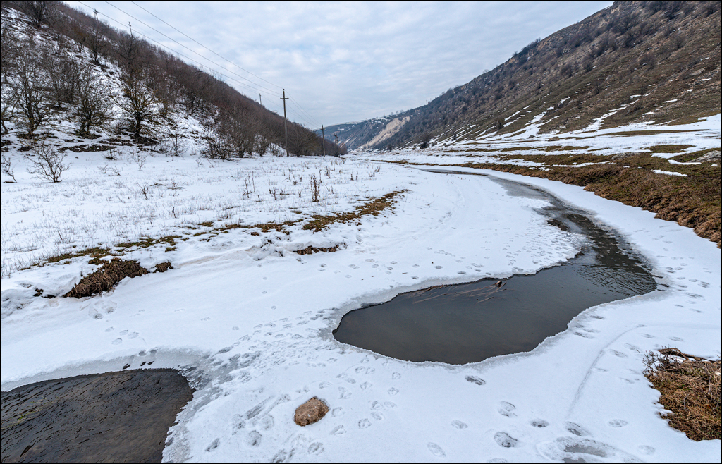Soldanesti Ciorna 20210221 128