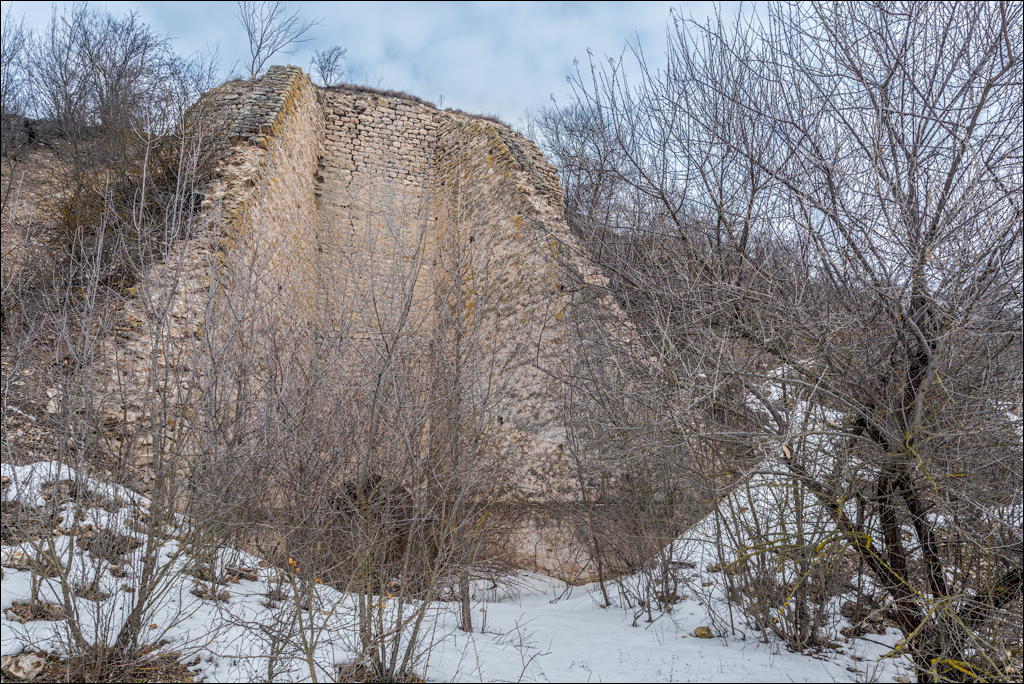 Soldanesti Ciorna 20210221 138