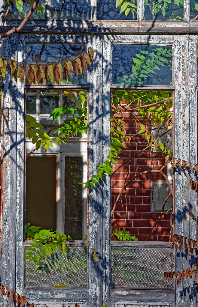 Taul Mindic Oliscani 2024 130