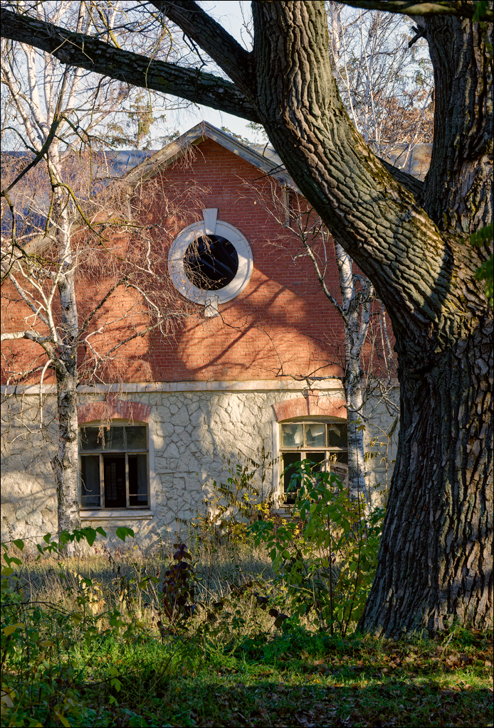 Taul Mindic Oliscani 2024 148