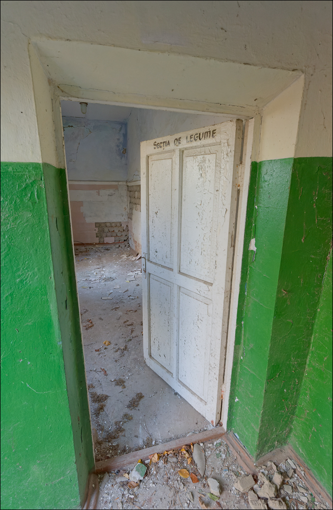 Taul Mindic Oliscani 2024 176