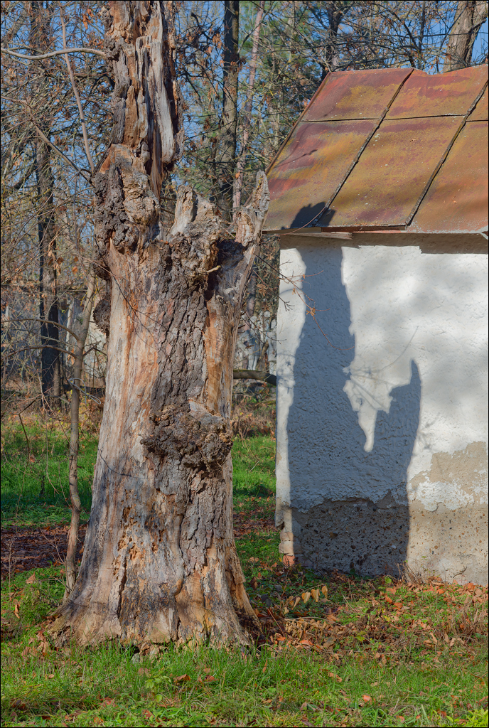 Taul Mindic Oliscani 2024 195