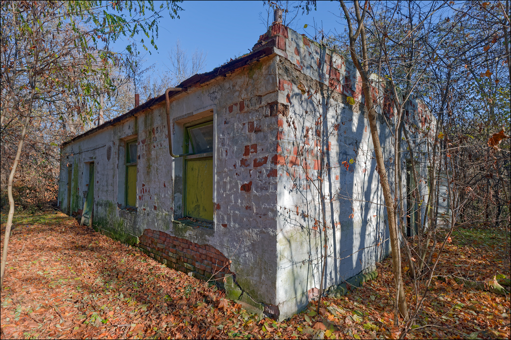 Taul Mindic Oliscani 2024 206