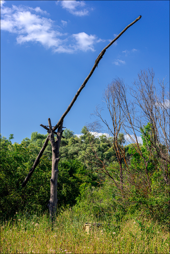 Bahmut Vererita Sinesti Cornesti 10 11jul2021 154