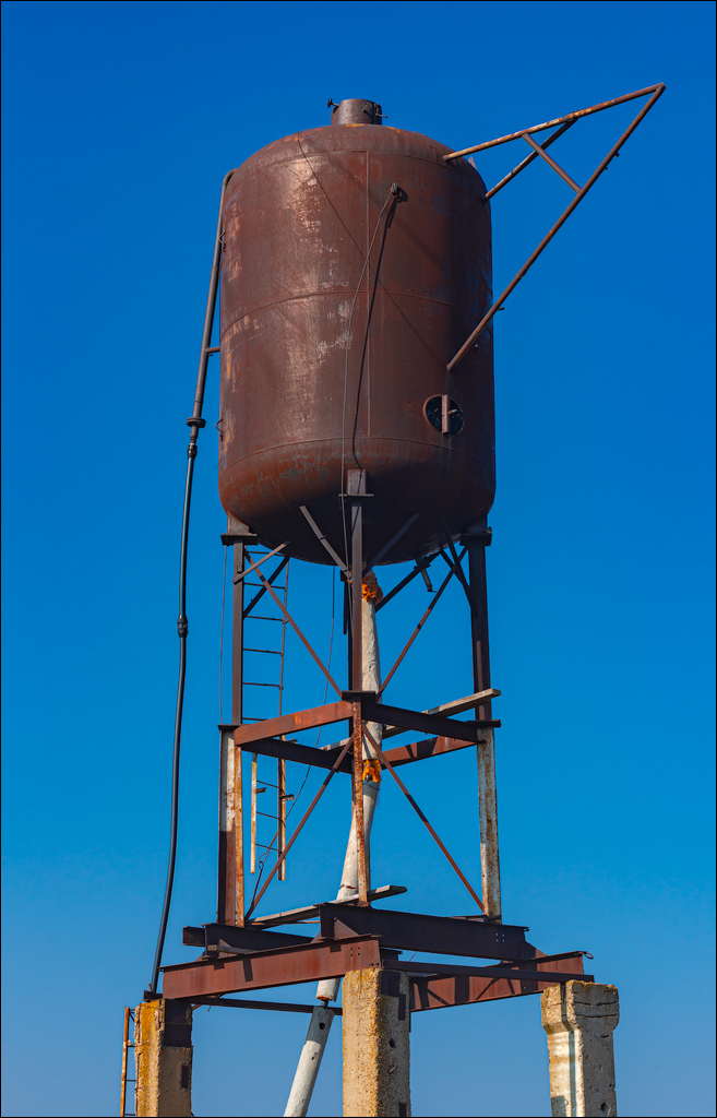 Capresti Cazanesti 10mar2024153