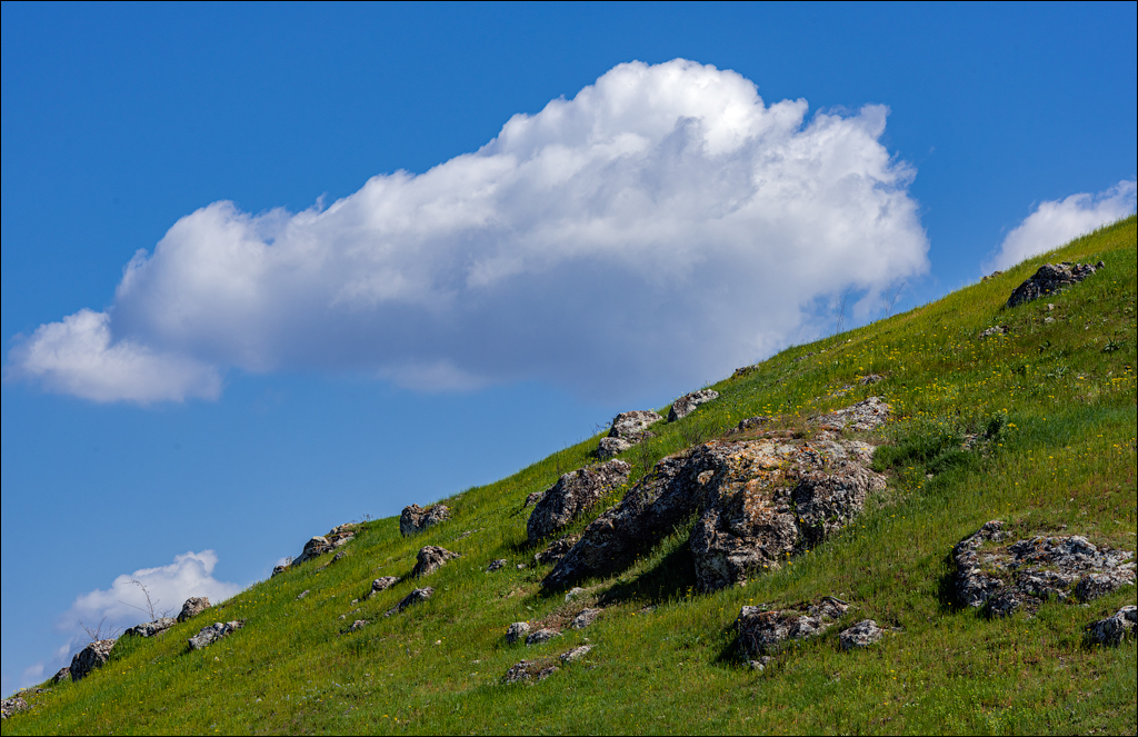 Ciuhur Horodiste Stolniceni 2021059 10 105