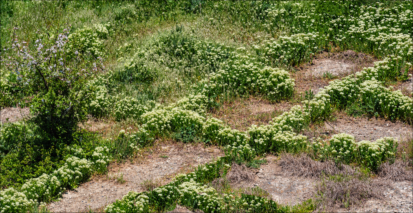 Ciuhur Horodiste Stolniceni 2021059 10 129