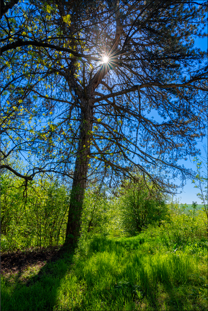 Ciuhur Horodiste Stolniceni 2021059 10 184