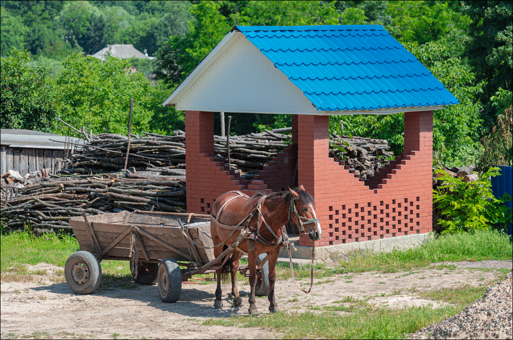 Cuhuresti Cobilea Dobrusa 26 27jun2021 144