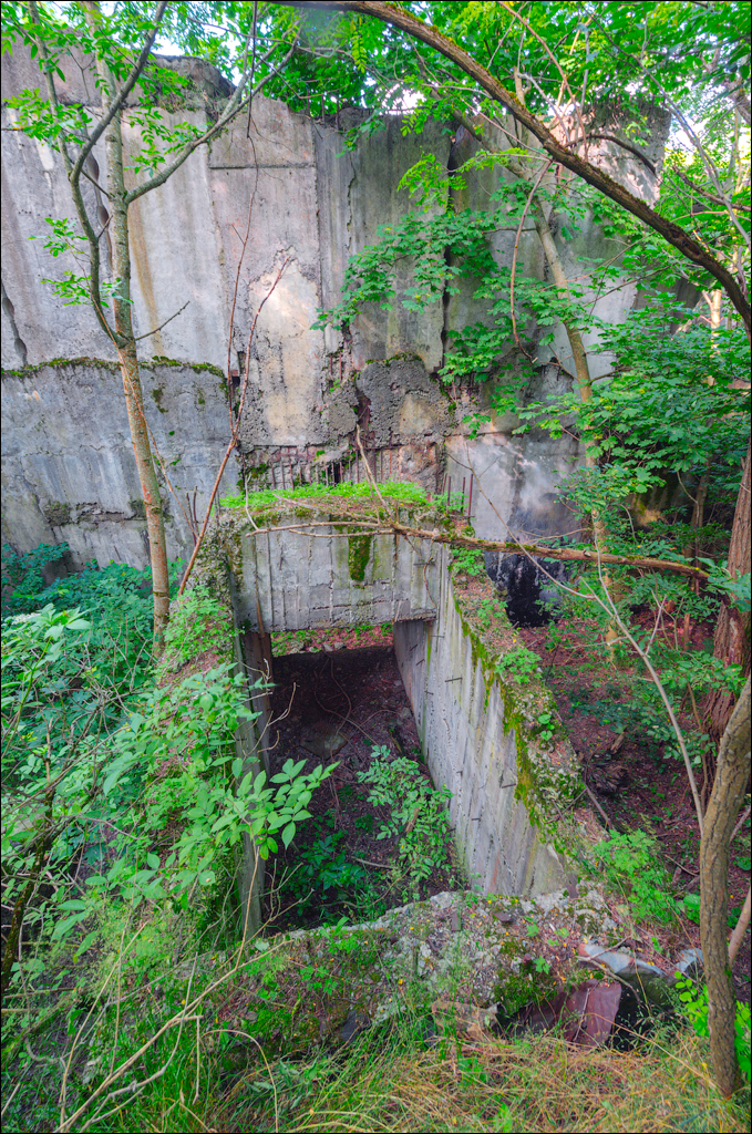 Cuhuresti Cobilea Dobrusa 26 27jun2021 205
