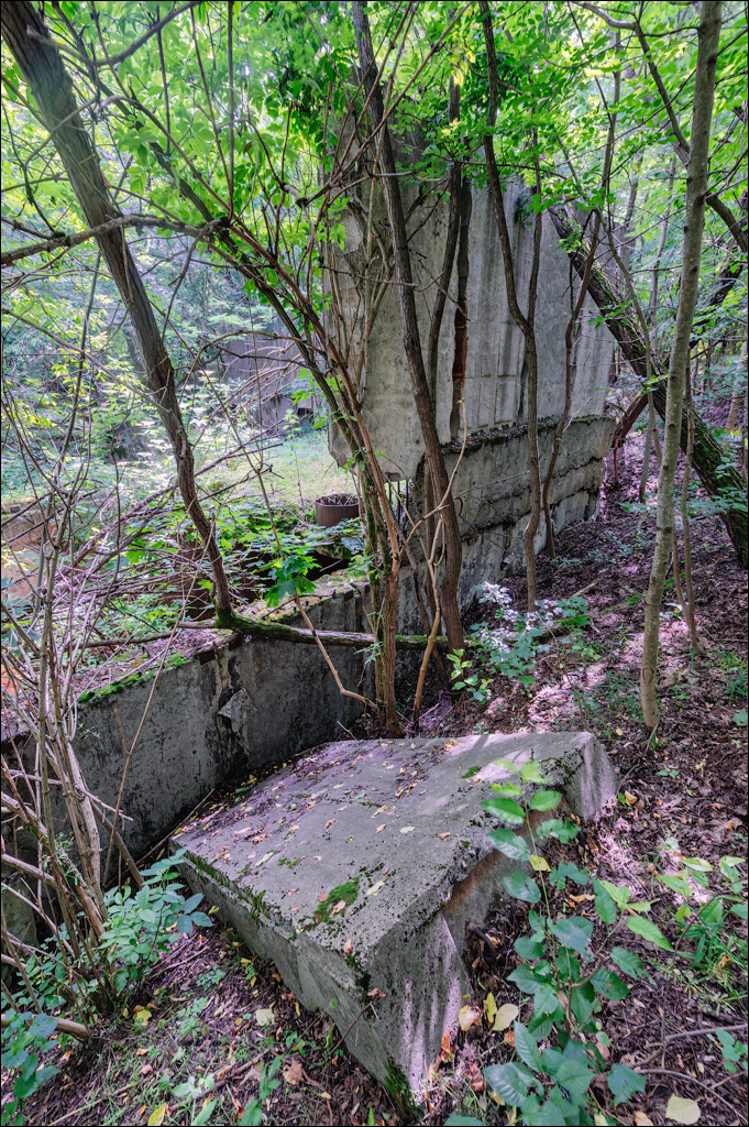 Cuhuresti Cobilea Dobrusa 26 27jun2021 230