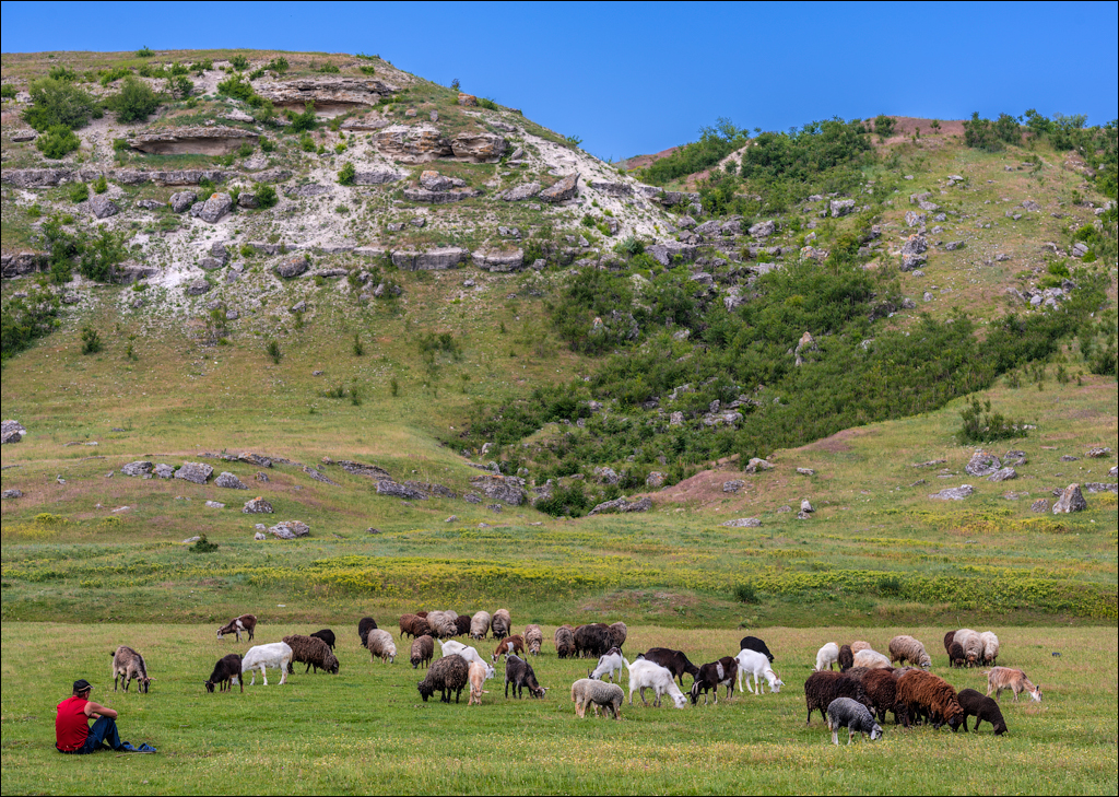 Domulgeni Ordasei may2018 02020180526