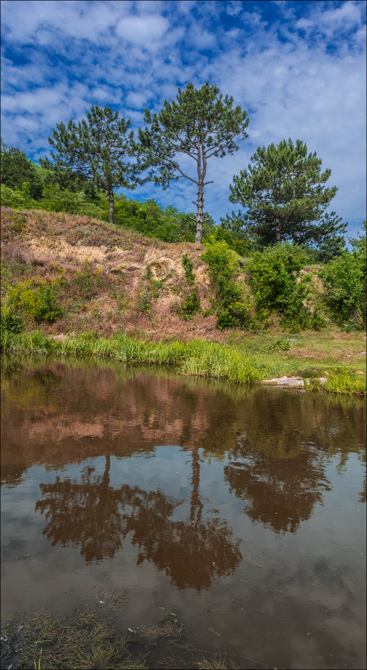 Domulgeni Ordasei may2018 02320180526
