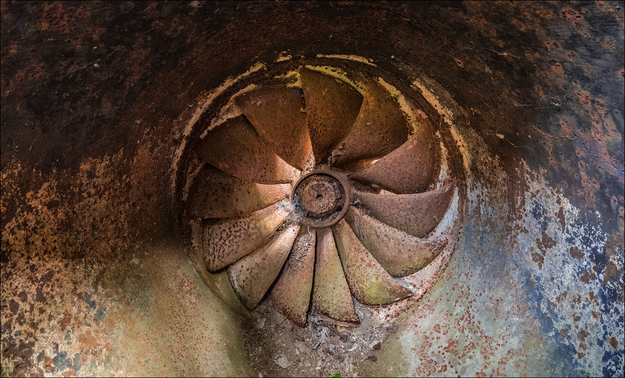 Domulgeni Ordasei may2018 05620180526