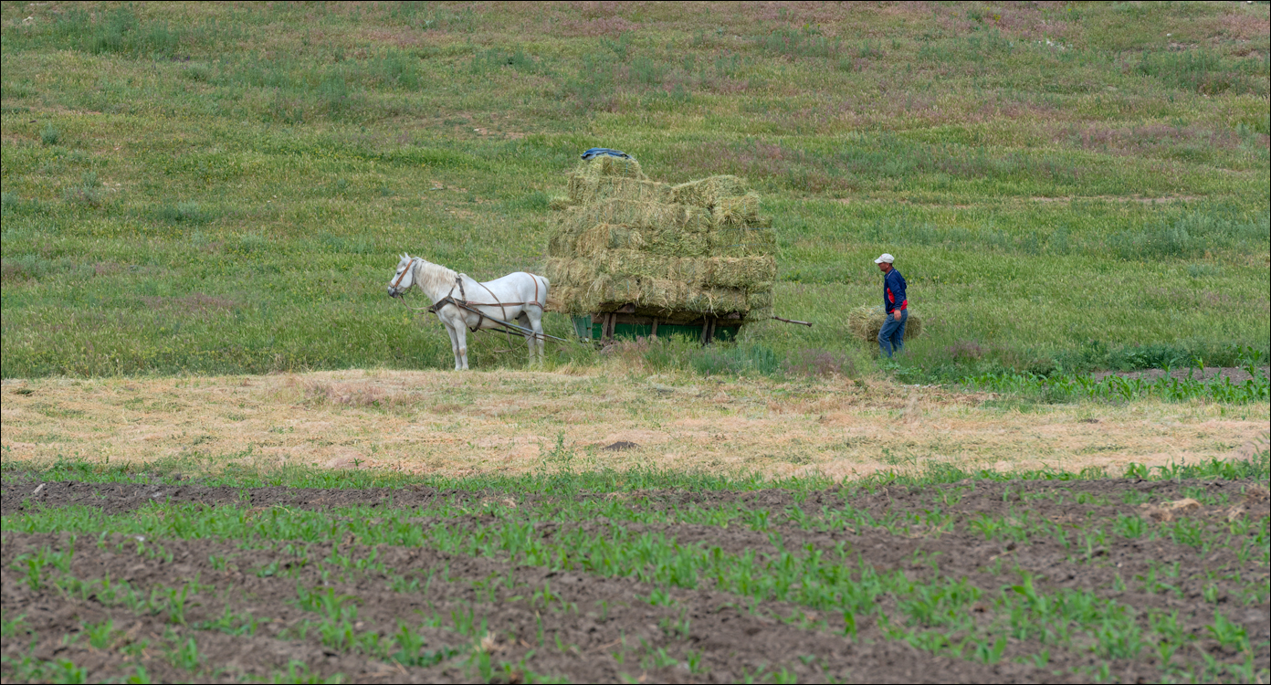 Domulgeni Ordasei may2018 07520180526