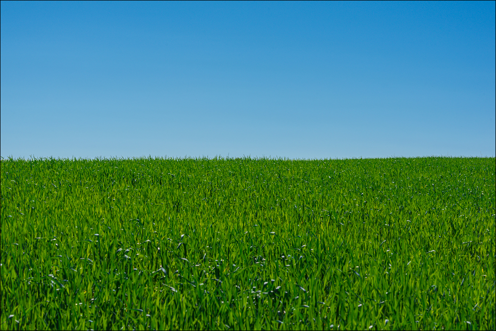 GuraBicului Dragalina 20210515 138