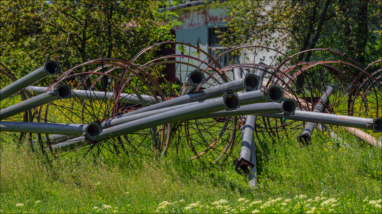 GuraBicului Dragalina 20210515 155