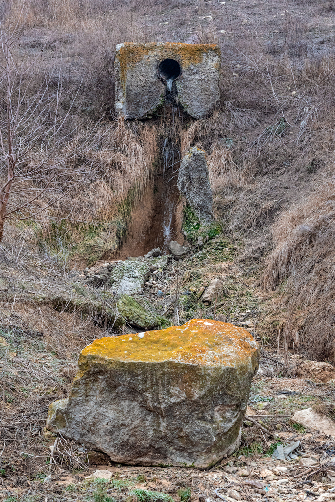 GuraCamencii Floresti 22022020 18