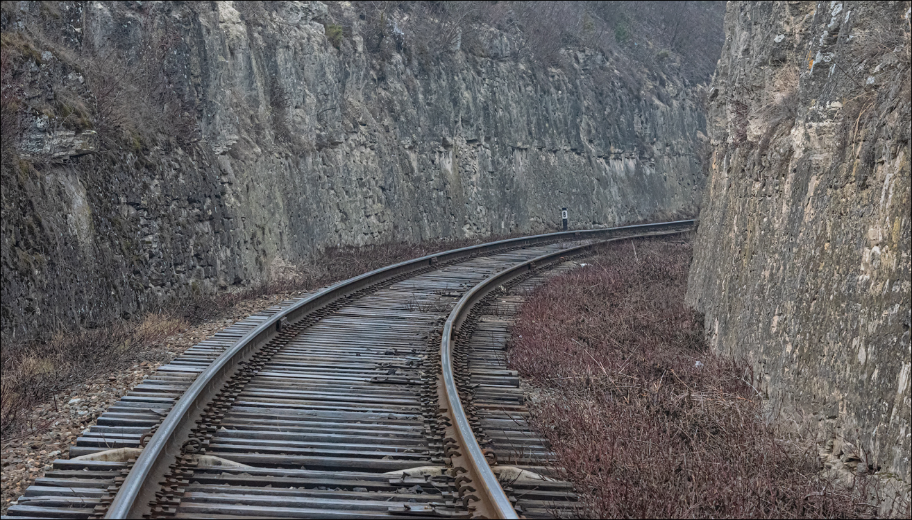 GuraCamencii Floresti 22022020 22