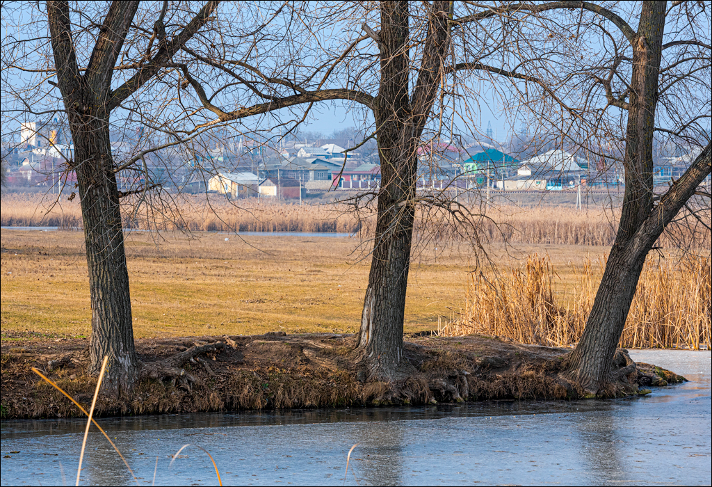 GuraCamencii Floresti 23022020 56