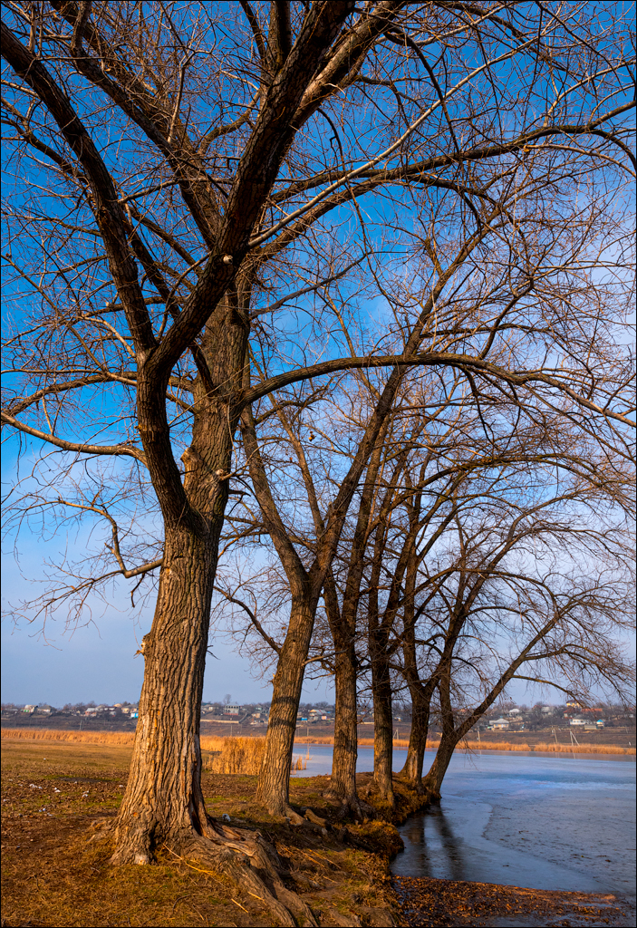 GuraCamencii Floresti 23022020 61